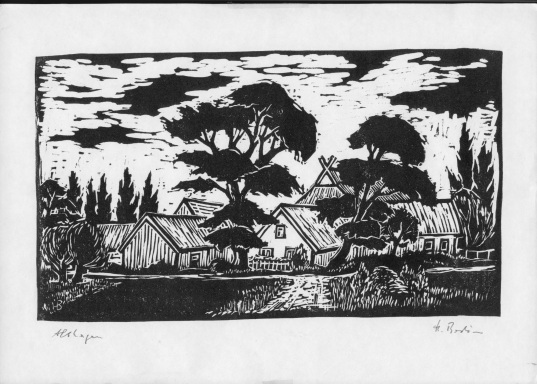 Blick auf Althagen (Ortsteil von Ahrenshoop) zeigt alte Häuser unter mächtigen Bäumen.