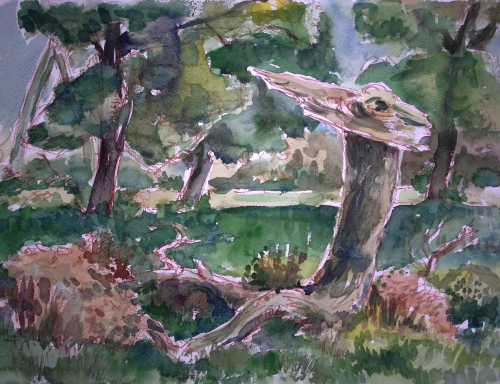 Ein großer, vertrockneter, auf der Wiese liegender Ast. Die splitterige Abbruchstelle reckt sich in die Höhe.  