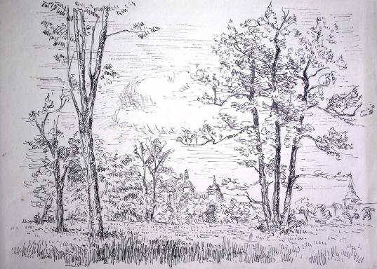 Blick über die Nebelwiesen auf Güstrow mit Schloss und Pfarrkirche.